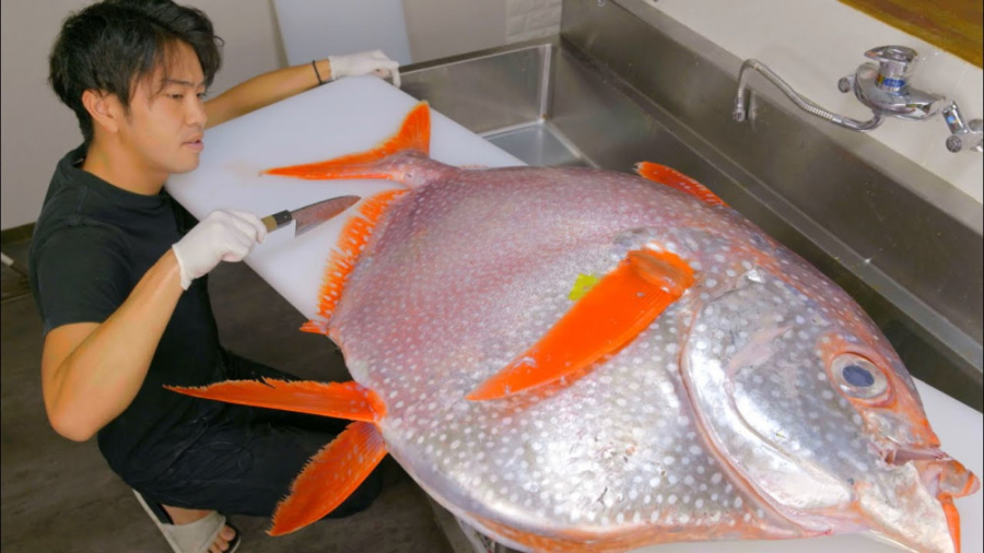 برش ماهی لمپریس 40 کیلویی  Opa...