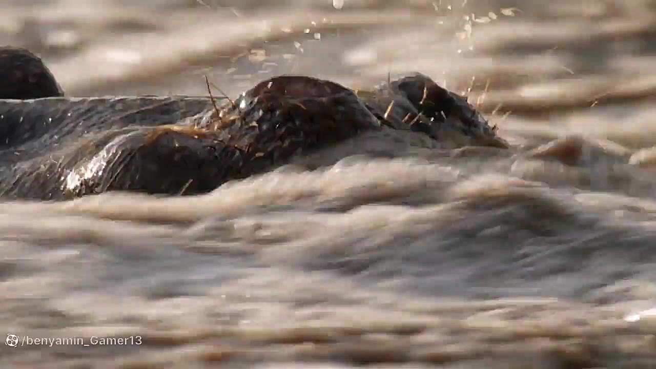 مستند شکار قسمت 1