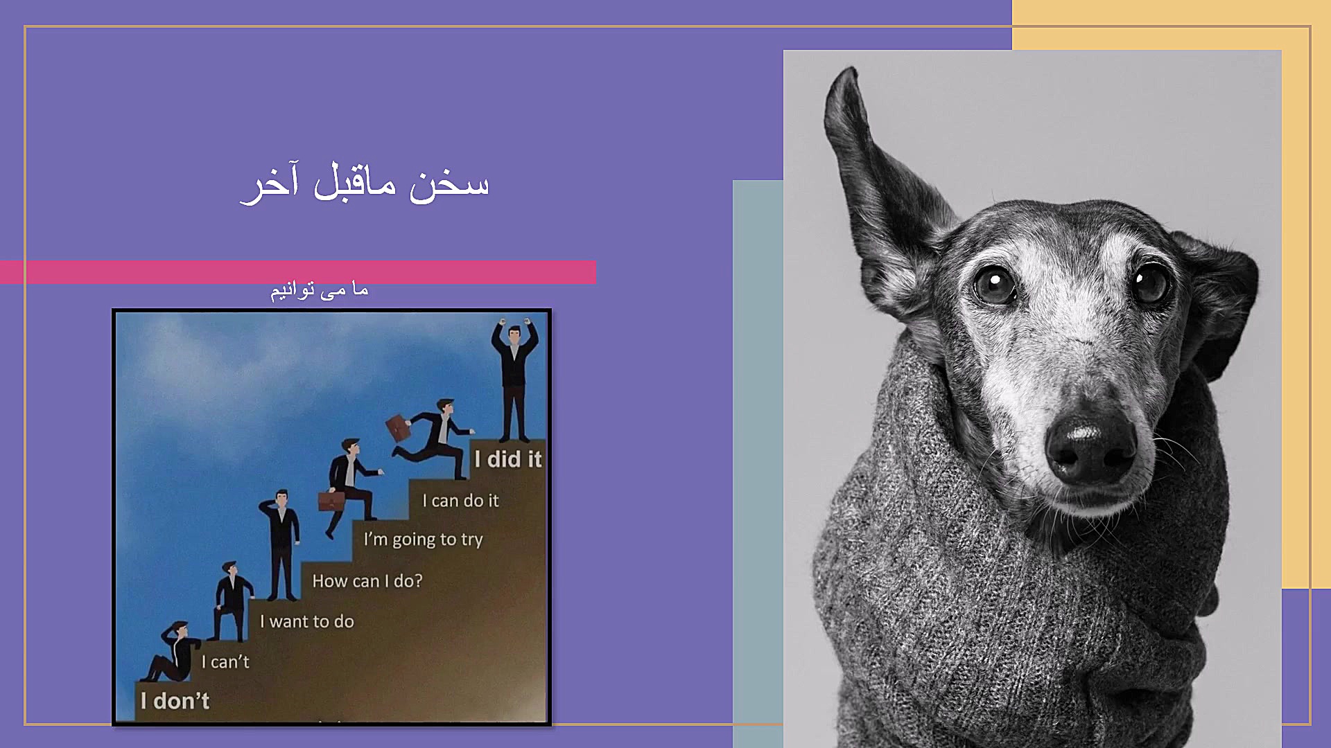 امان از دست مصریان باستان