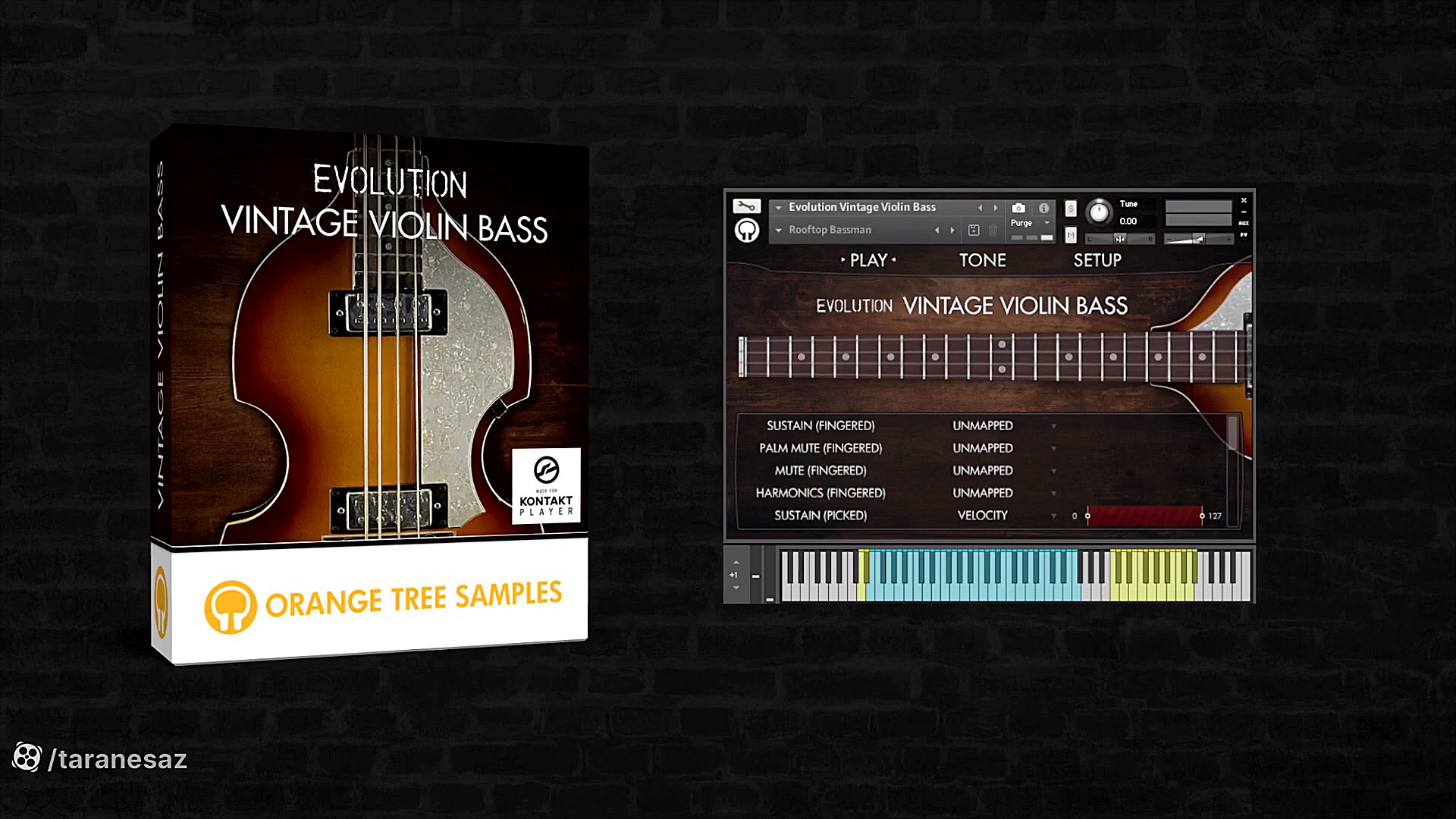 Evolution Vintage Violin Bass...