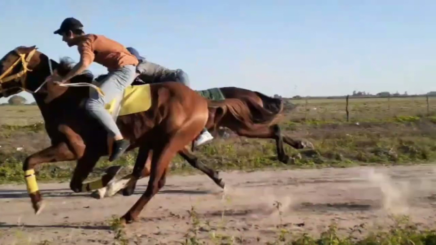 مسابقه اسب دوانی خیابانی  مساب...