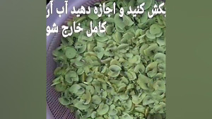 آموزش یک روش ساده فريز كردن قا...