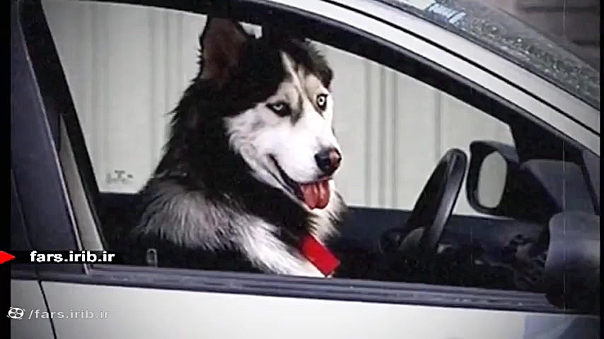 طنز شیرازی &quot; شهر قشنگ &qu...