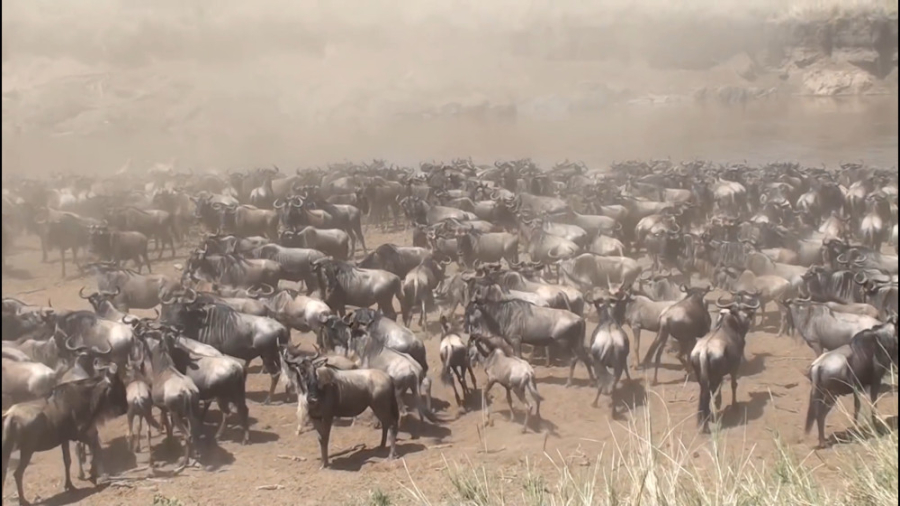 راز بقا  مسابقه برای زنده ماند...