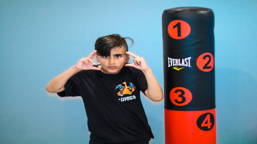 Everlast Target Boxing Punch Bag ABTIN UNBOXING