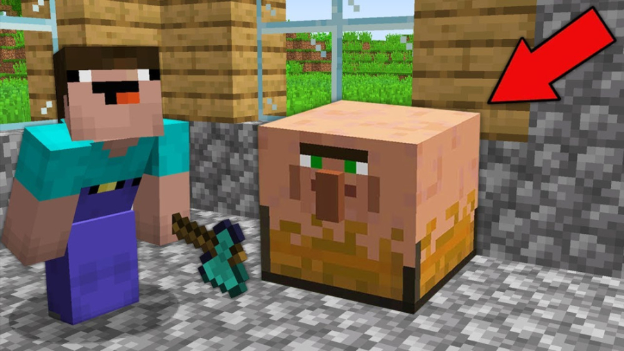 ماجراهای یک نوب چست ویلیجری!!...