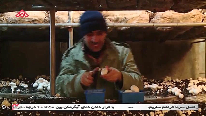 کلیپ طنز خنده دار مش عامو  پرو...