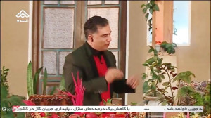کلیپ شاد شب چله و مش عامو