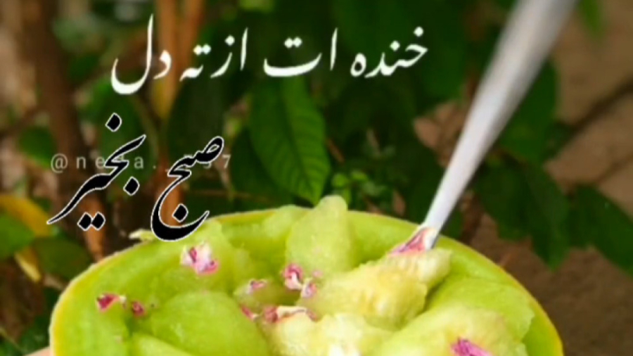 سلام صبحتون بخیر/صبح بخیر همراه دعا/کلیپ صبح بخیر برای وضعیت — free download