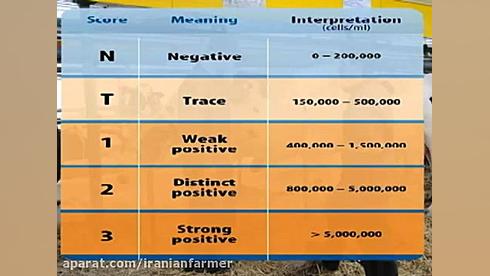 شناسایی ورم پستان با روش CMT