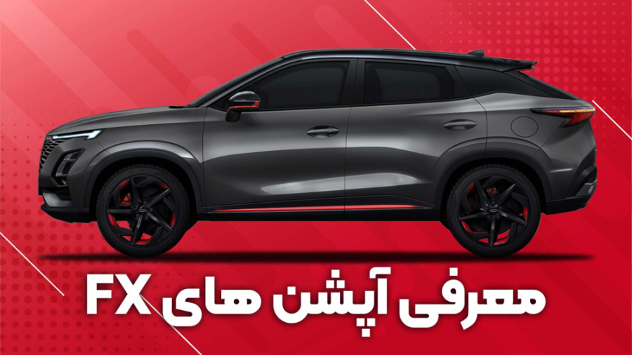 معرفی آپشن های فونیکس اف ایکس...