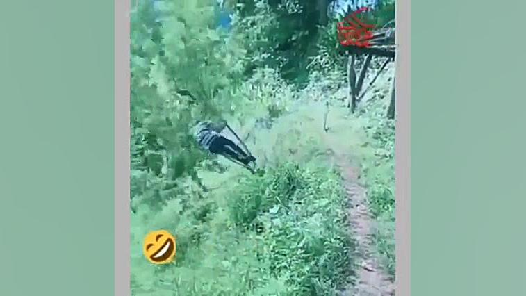 حقش بود افرین خروس