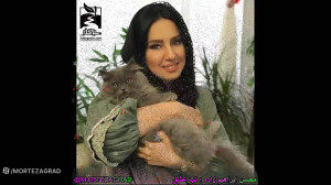 آهنگ جدیدوبسیارزیبای محسن ابرا...