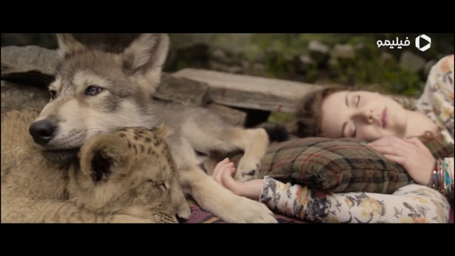 تریلر فیلم گرگ و شیر The Wolf...
