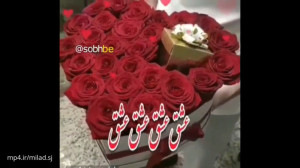 کلیپ سلام صبح بخیر کلیپ صبح بخ...