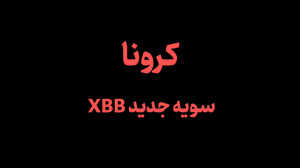 کرونای جدید سویه xbb