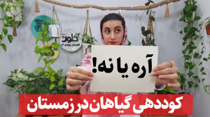 آیا زمستان فصل پایان کوددهی گی...