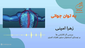 زهرا امینی  بررسی اثر کاشتنی ه...