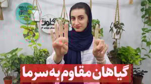 5 گیاه که توانایی تحمل دمای پا...