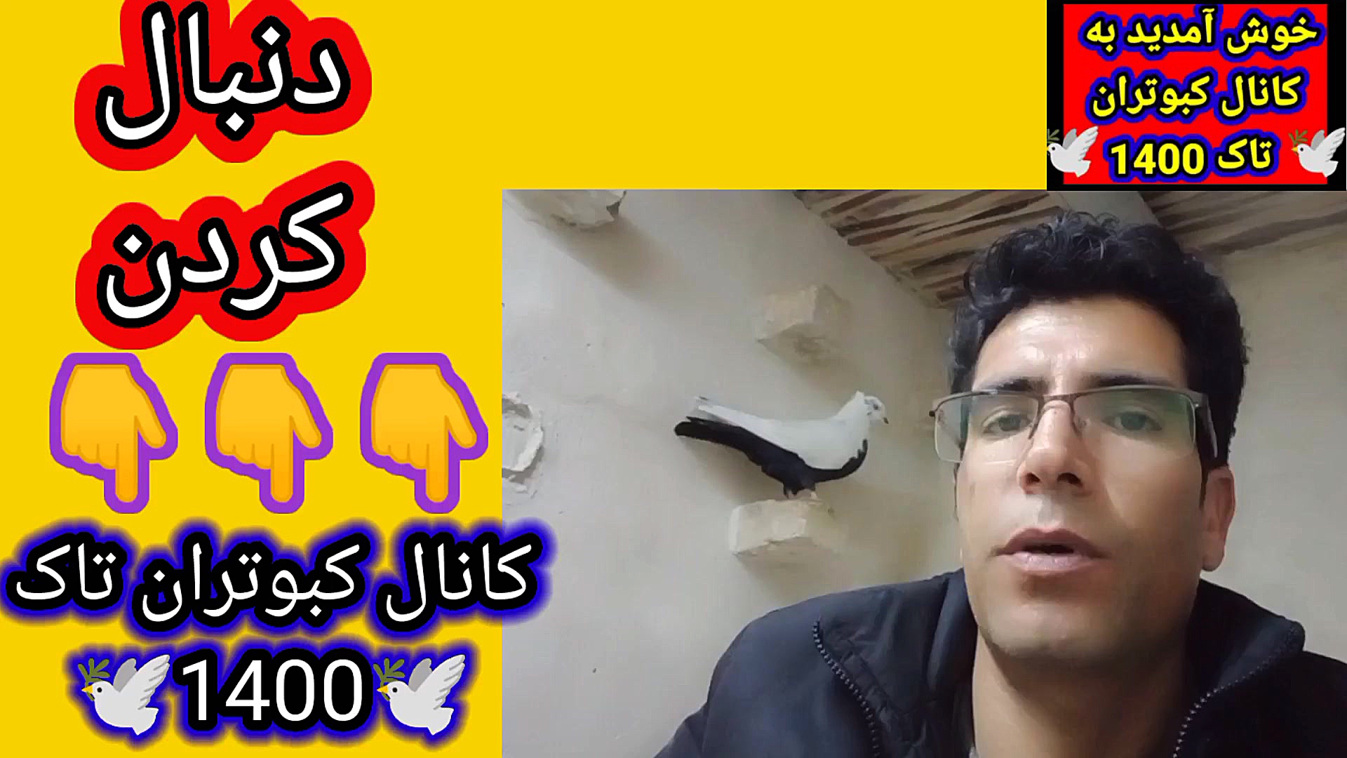 نکاتی در مورد غلط های کبوتر دم...