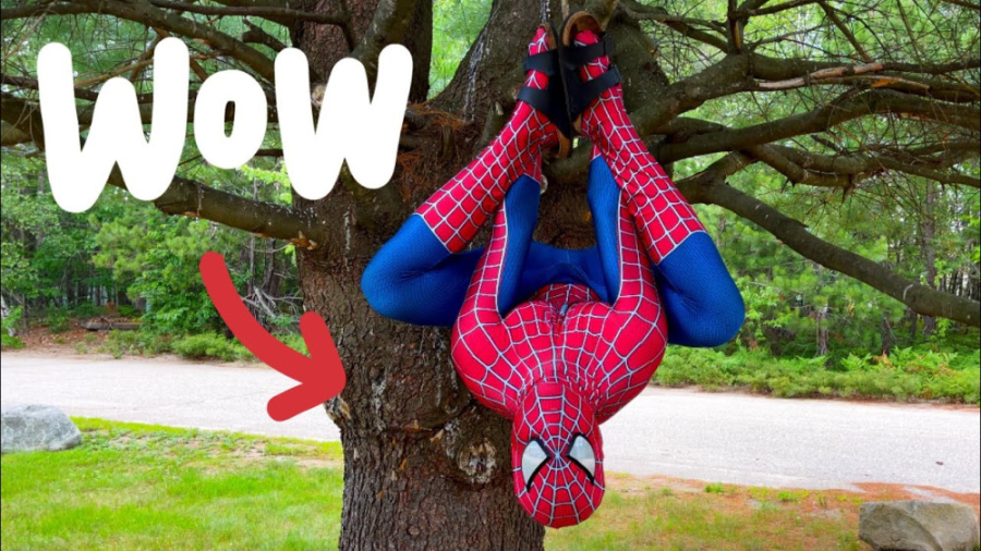 مرد عنکبوتی در دنیای واقعی  مر...