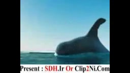 پنگوئن شکار نهنگ