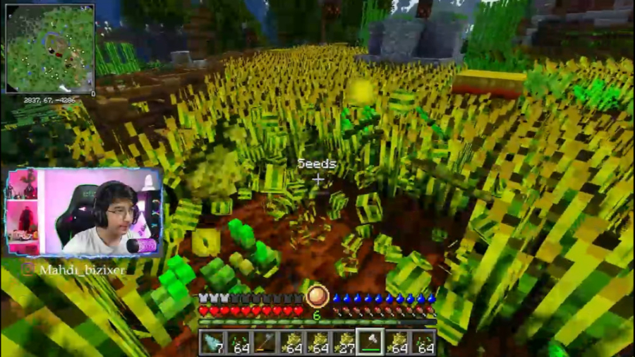 آر ال کرفت آنلاین (10) | عجیب...