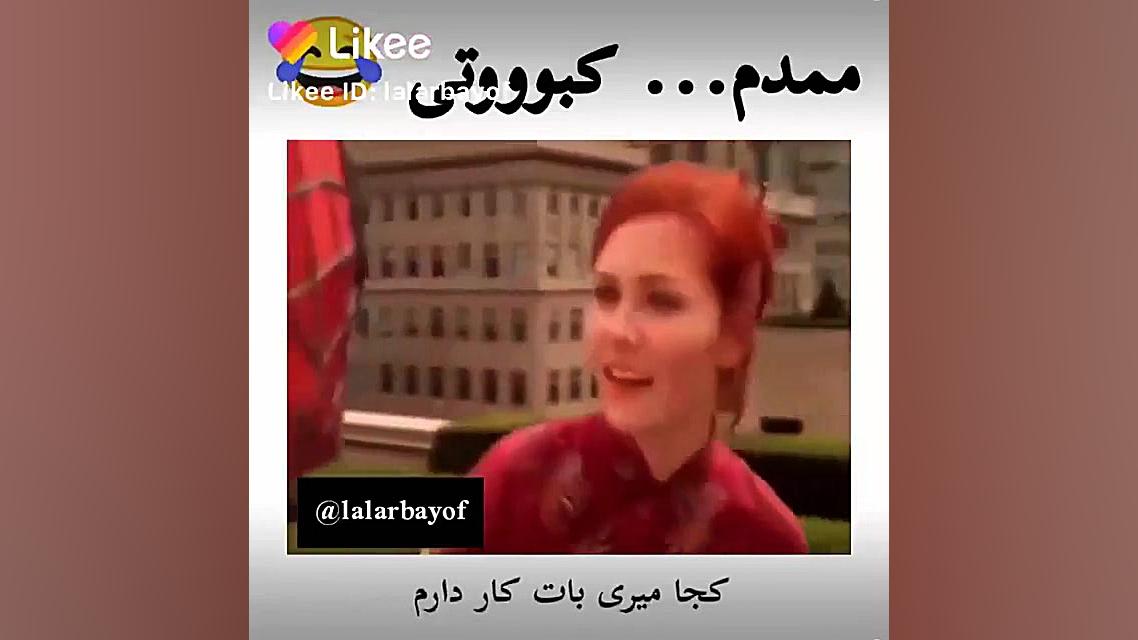 ممدم ... کبووتی