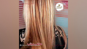 کرایتنه مو چالوس