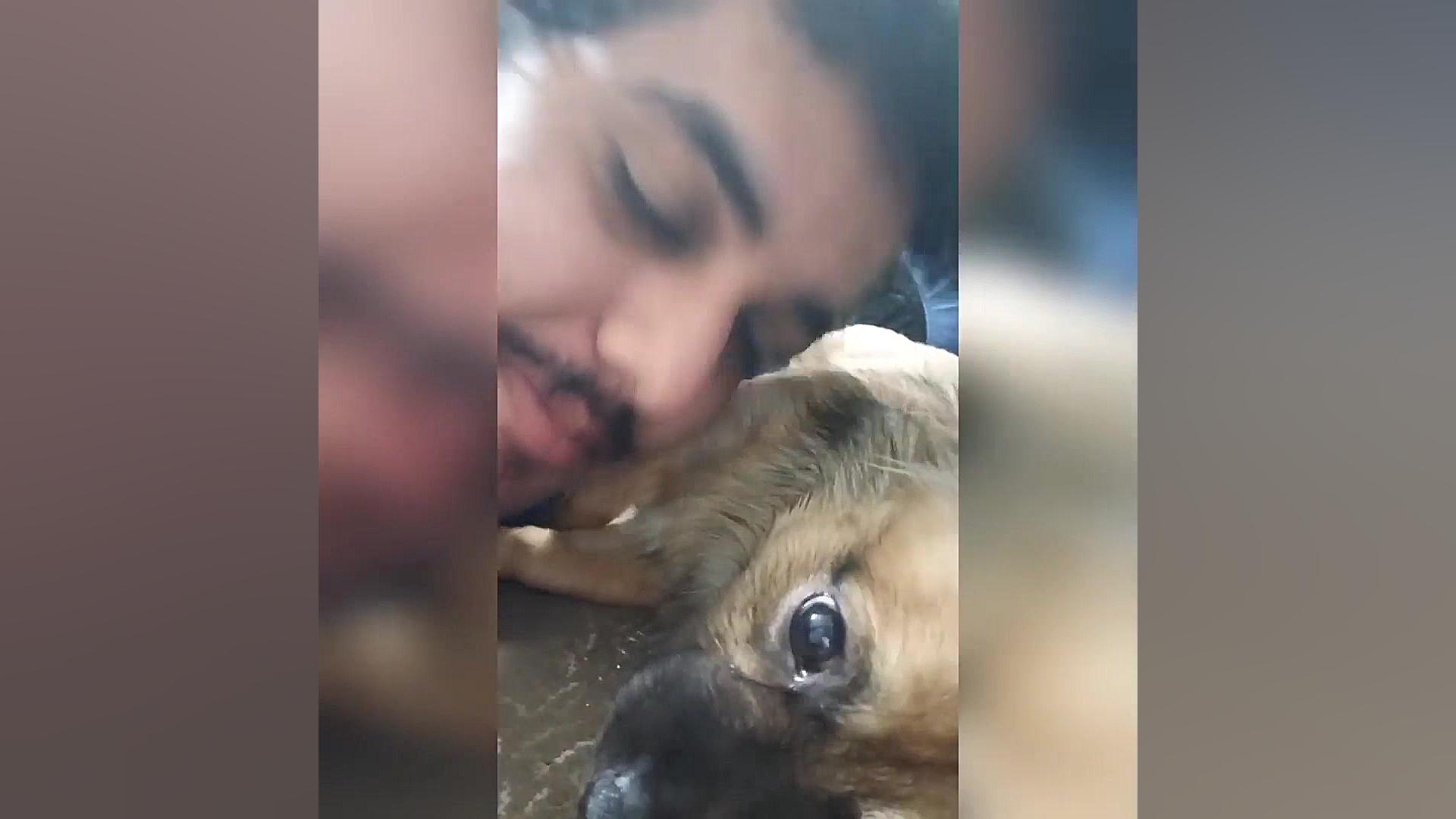 واکنش سگ به بوس