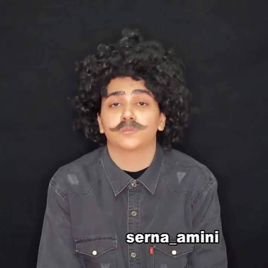 سرنا امینی بازرسی