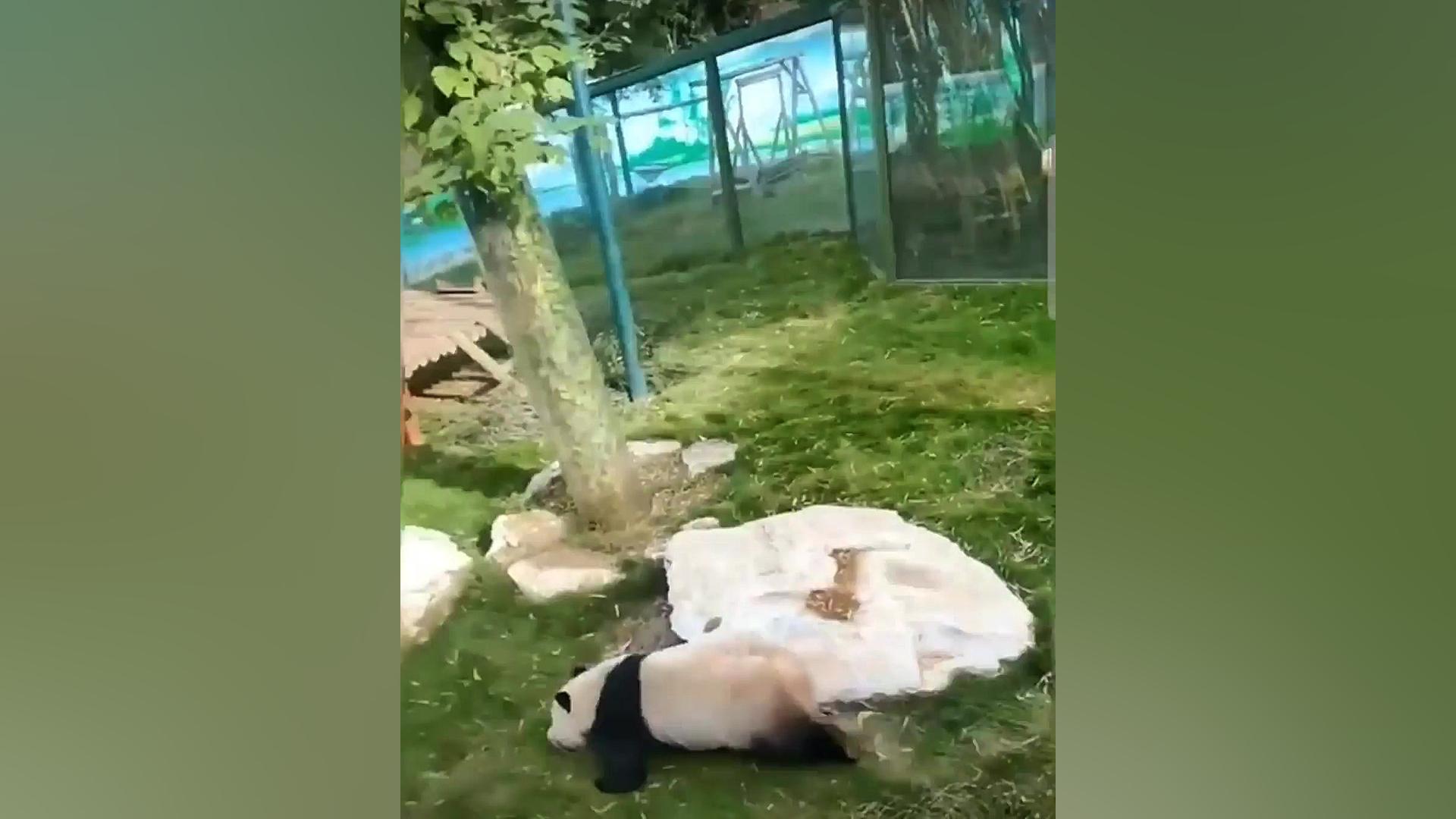 تعطیلات اخر هفته طنز