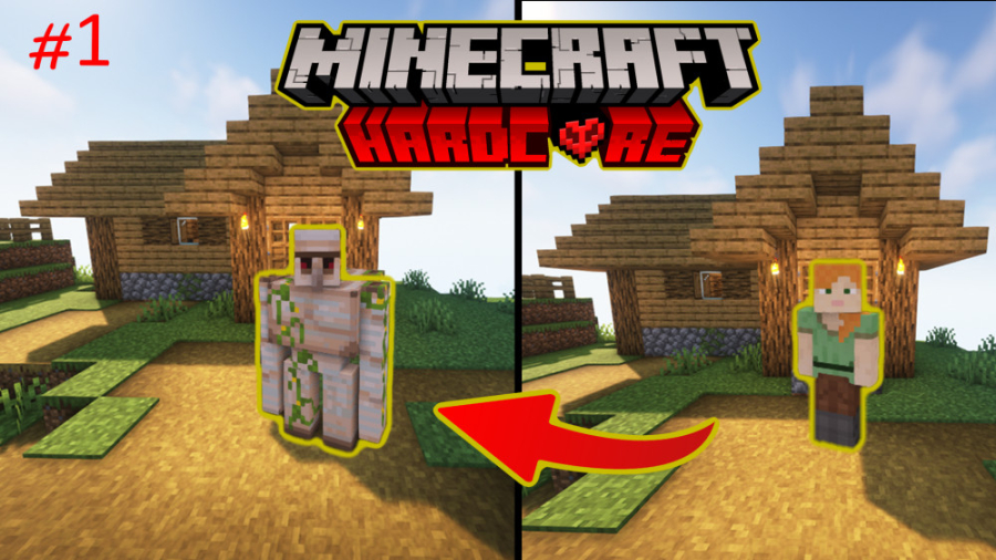 ماینکرفت هاردکور اما میتونم به...