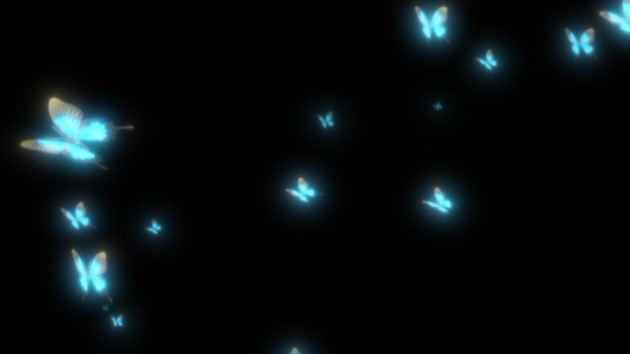 اکولایزر پروانه، شهاب سنگ و ست...