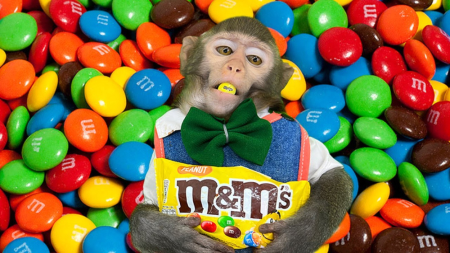 فیلم کودکانه بچه میمون : آب نب...