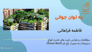 فاطمه فراهانی  مطالعات و طراحی...