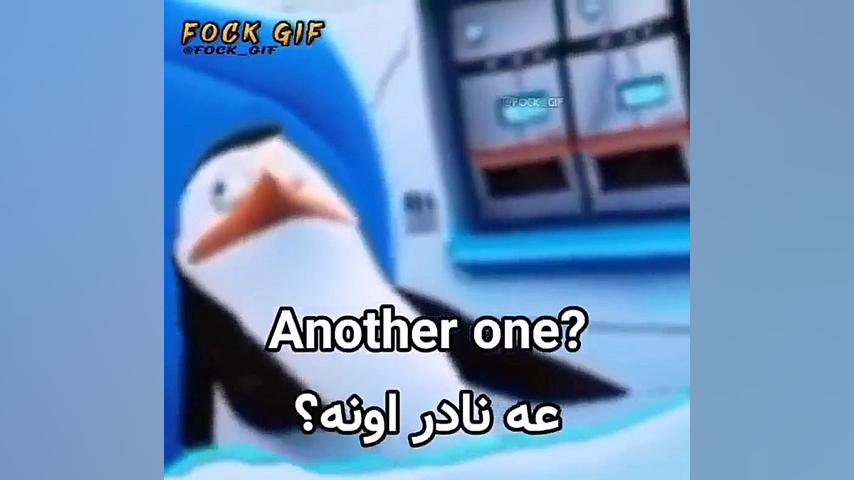 پیدایش اقا نادر پس از سالها دو...