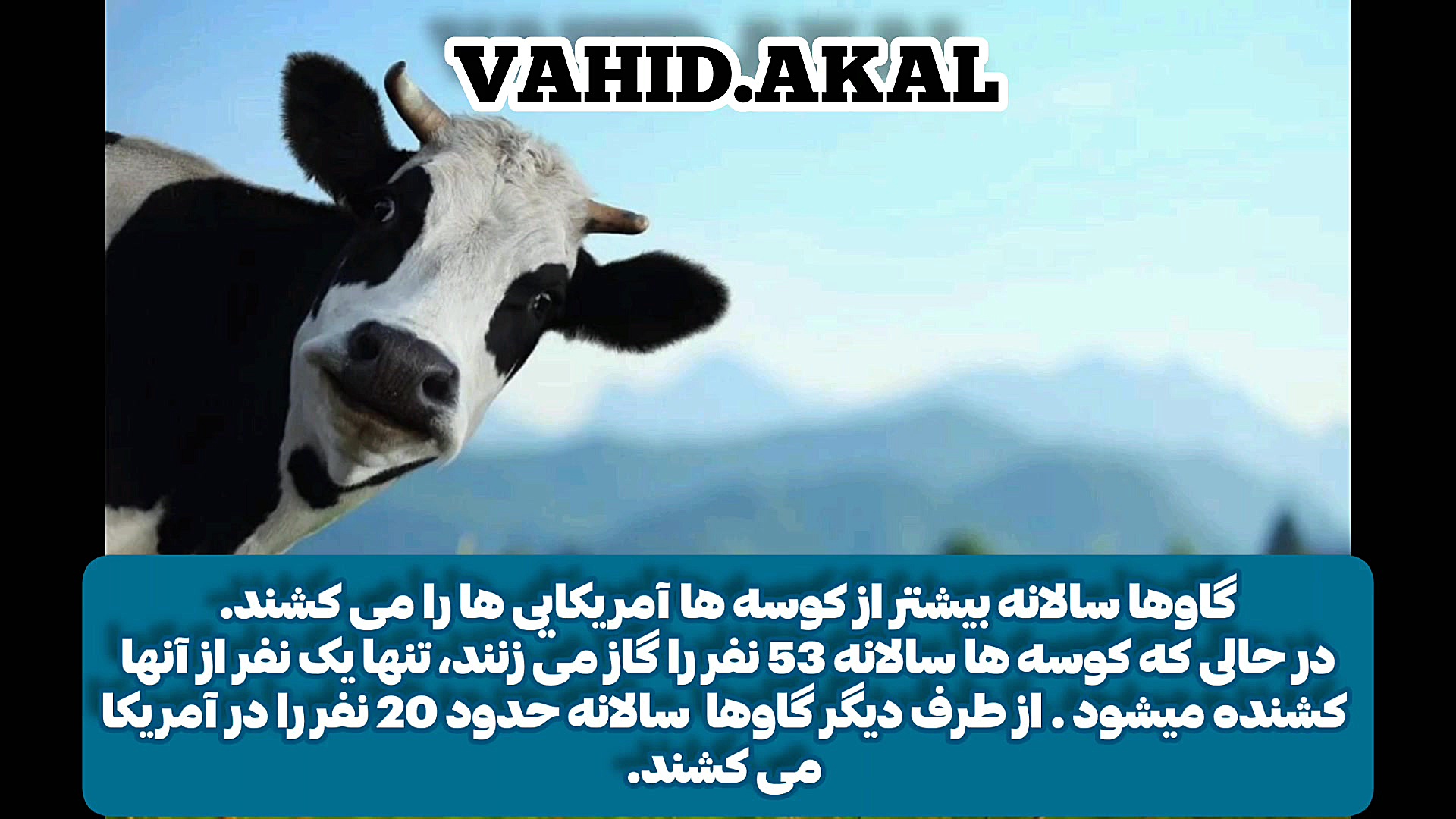 میدونستی؟!؟!؟