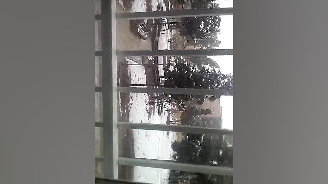 یک روز برفی پشت پنجره