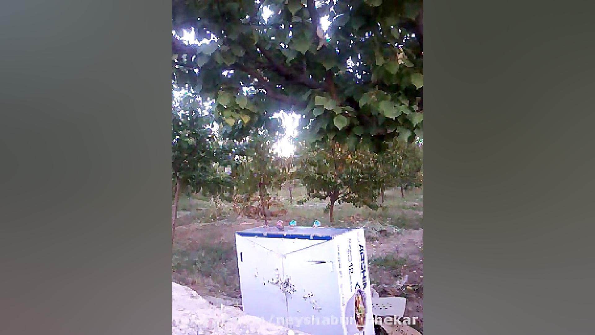 دقت حیرت انگیز pcp پانچر مکسی