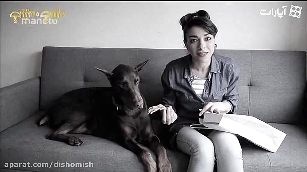 قسمت دوازدهم طنز دیش و میش