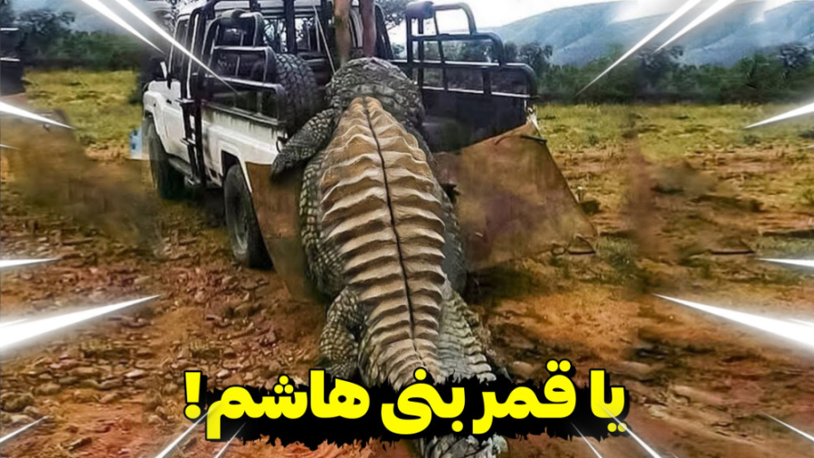 موجودات ما قبل تاریخی که هنوز...