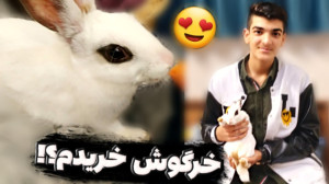 خرگوش خریدم؟! | خرگوش زیبا و ب...