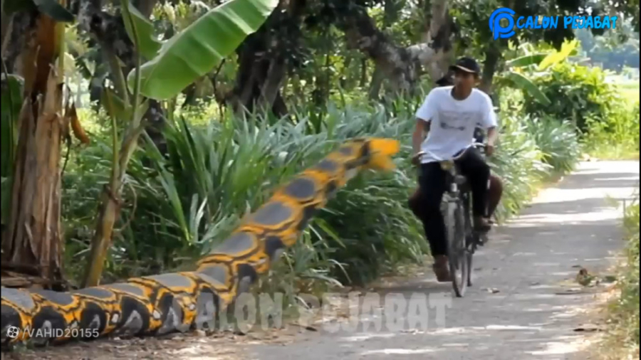 دوربین مخفی خنده دار  شوخی با...