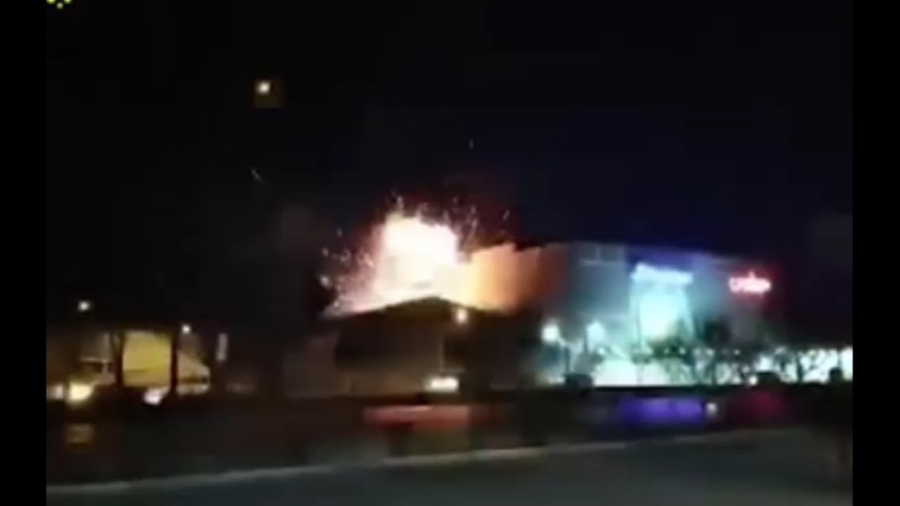 فیلم و خبر حمله ریزپرنده ها به...