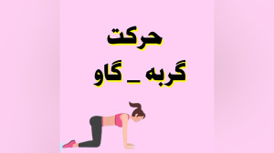 آموزش حرکت گربه گاو