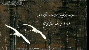 کلیپ عاشقانه تبریک سالگرد ازدو...