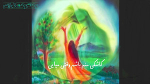 دیدن امام زمان عج ...