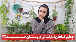 ۷ نابودگر گیاهان آپارتمانی در...