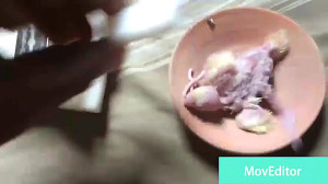 آموزش آتل بستن پای جوجه عروس ه...